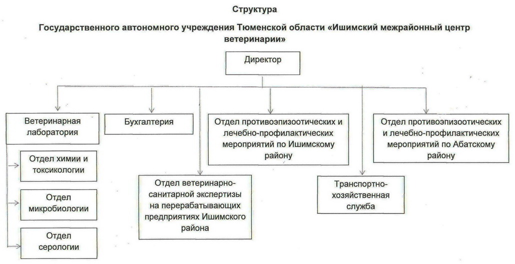 novaya_struktura1.jpg